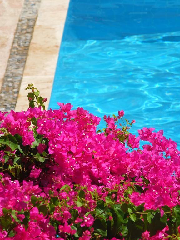 Hotel Villa Berk Fethiye Bagian luar foto